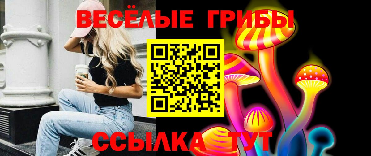 Старая Купавна  Галлюциногенные грибы Psilocybine cubensis  Вход с VPN 
